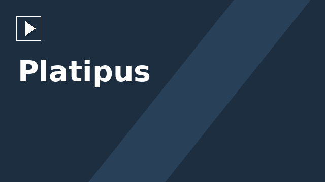 Platipus